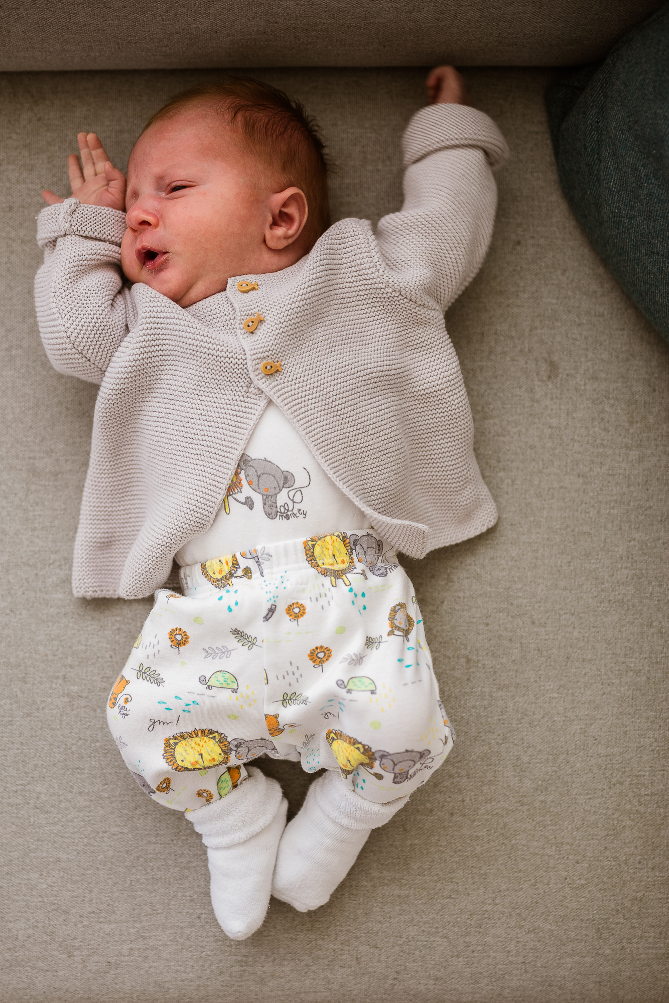 Export x3 5D4 6790 Familienfotoshooting 2019 Hefti